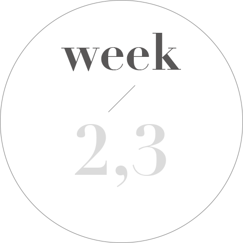 week 2,3